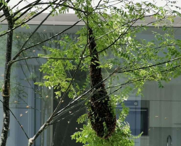 Alle kleine bijtjes helpen