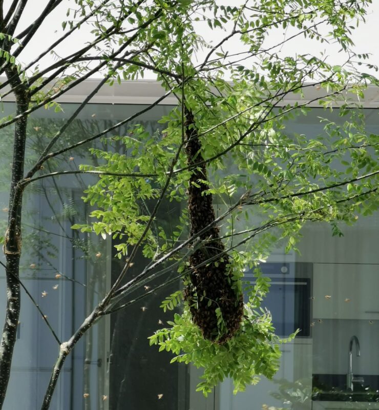 Alle kleine bijtjes helpen