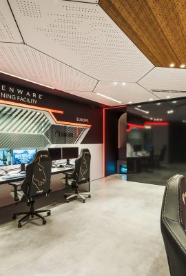 Professionele gamers van Team Liquid