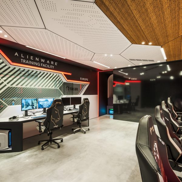 Professionele gamers van Team Liquid