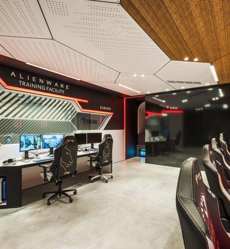 Professionele gamers van Team Liquid